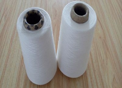 點擊查看詳細信息<br>標(biāo)題：天絲紗 閱讀次數(shù)：13850