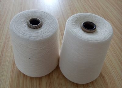 點擊查看詳細信息<br>標(biāo)題：混紡紗 閱讀次數(shù)：10866
